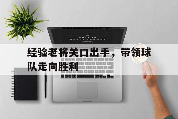 经验老将关口出手，带领球队走向胜利的简单介绍