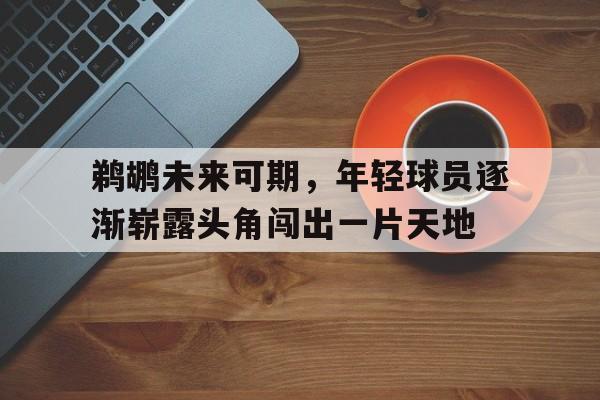 关于鹈鹕未来可期，年轻球员逐渐崭露头角闯出一片天地的信息